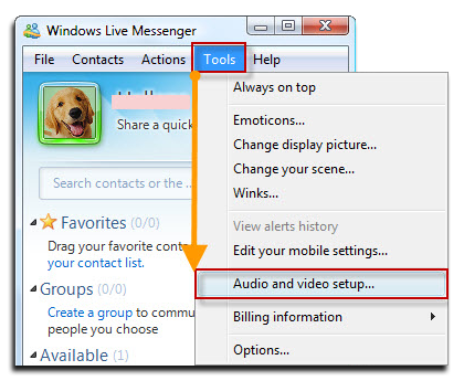 Fig 3: Windows Live Messenger - Main GUI